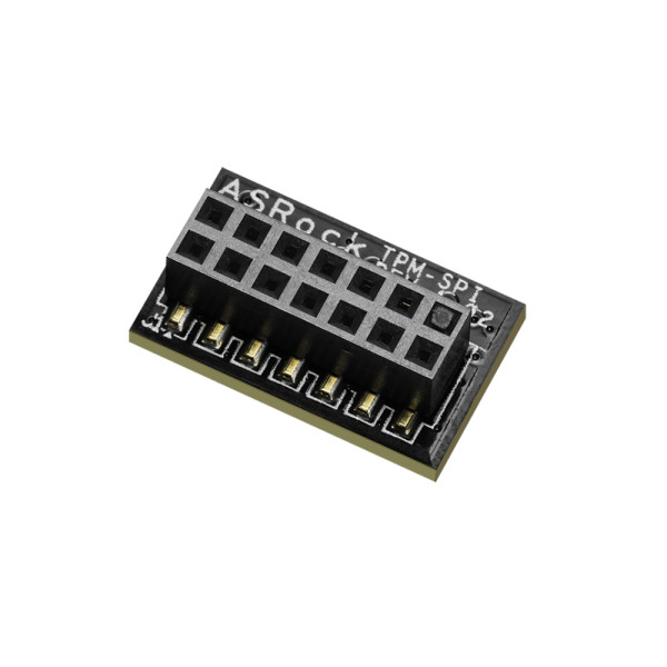 Модули MB ASRock TPM-SPI