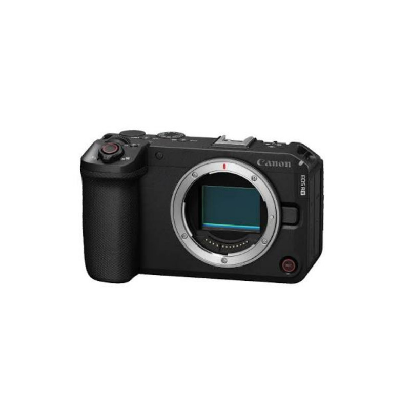 Фотоаппарат Canon EOS R6 V Body V5GHz