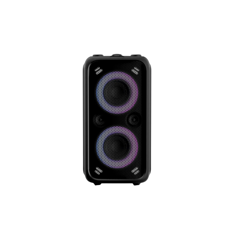 Портативная аудиосистема FD Audio PA200, черная