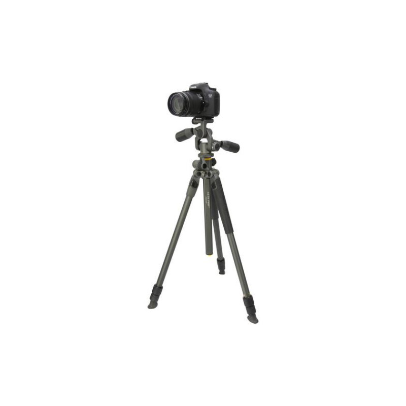 Авангард Альта ПРО2+ 263AP