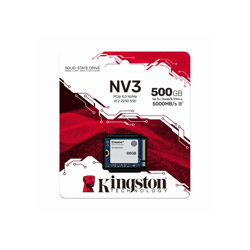 Kingston NV3