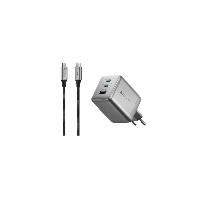 EcoFlow RAPID Pro, серебристый