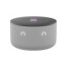 Yandex Station MINI 3, Gri