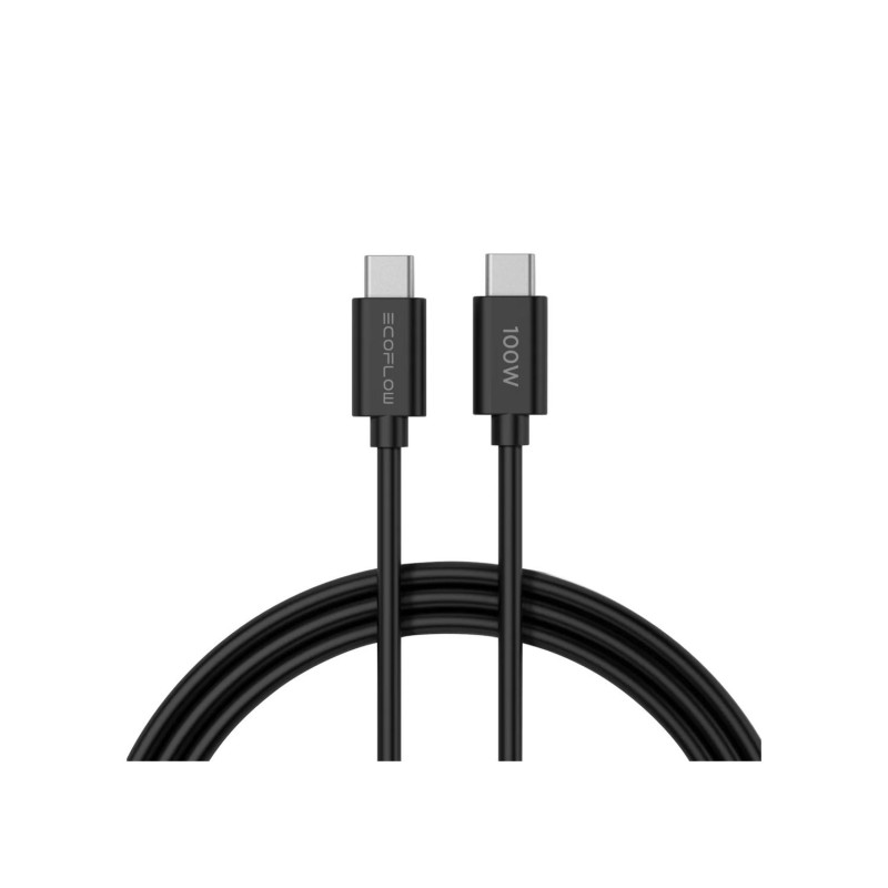 Зарядное устройство EcoFlow RAPID 65 Вт GaN с кабелем 100 Вт длиной 1 м, 2 портами USB-C и 1 портом USB-A, заряжает 3 устройства одновременно
