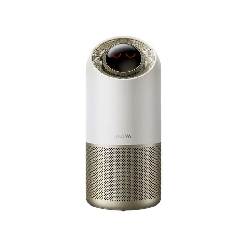 Очиститель воздуха Mova X10