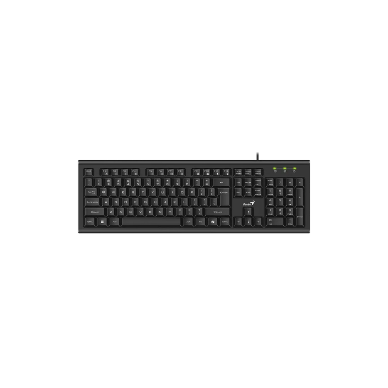 Keyboard Genius KB-113, Classic, 12 Fn keys, Concave Keycap, Spill Resistant, 1.5m, USB, EN/RU, Black