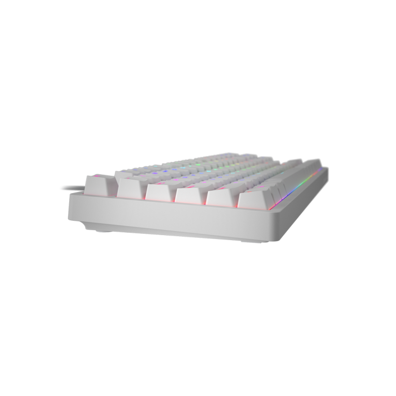 Игровая клавиатура HATOR Rockfall 2 Mecha TKL, RGB, 1,8 м, USB, EN/UA, белая