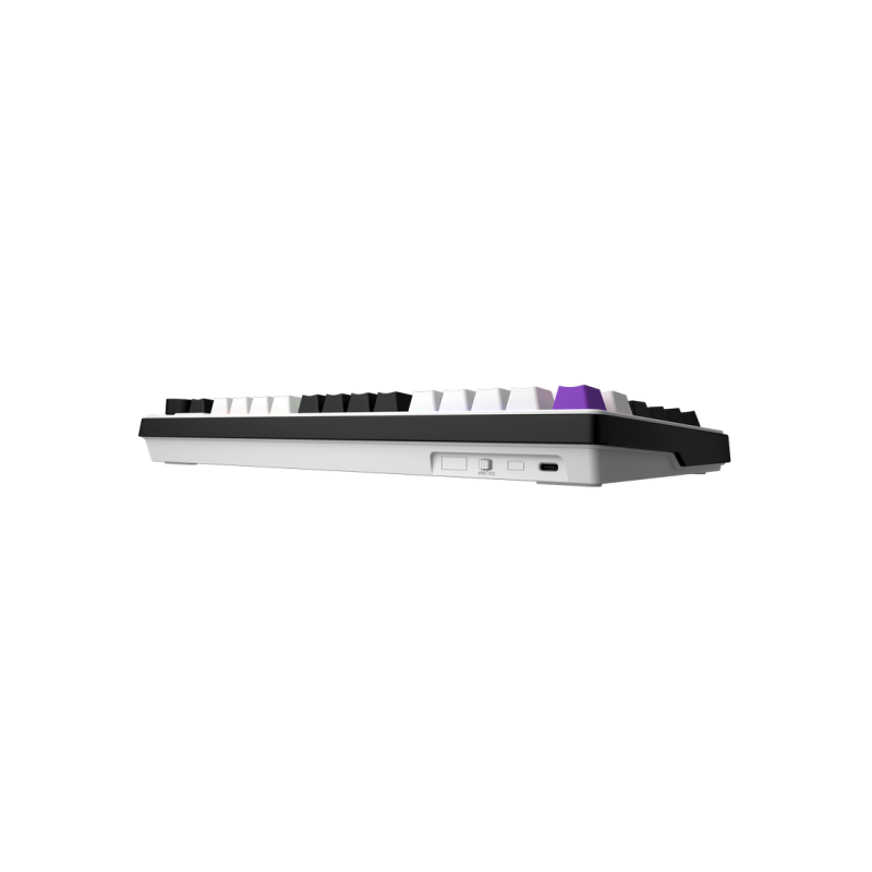 Gaming Keyboard HATOR Hellyberry HK75 White-Violet