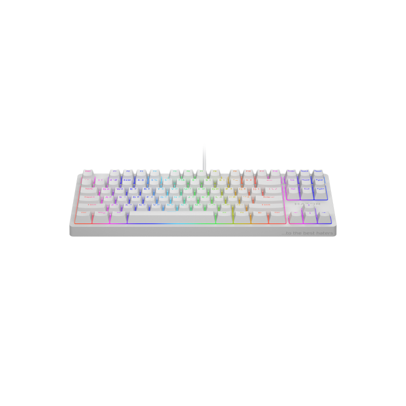 Игровая клавиатура HATOR Rockfall 2 Mecha TKL, RGB, 1,8 м, USB, EN/UA, белая