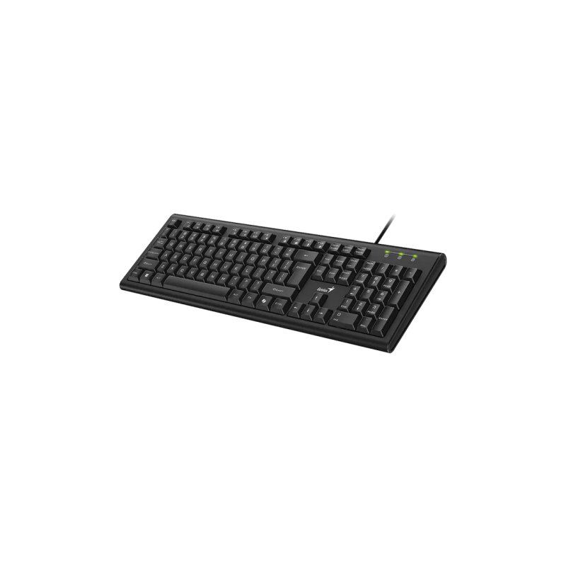 Keyboard Genius KB-113, Classic, 12 Fn keys, Concave Keycap, Spill Resistant, 1.5m, USB, EN/RU, Black