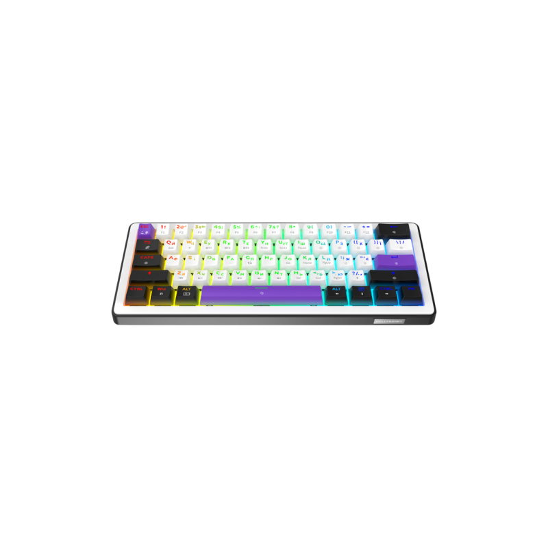 Gaming Keyboard HATOR Hellyberry HK60 Wireless White-Violet