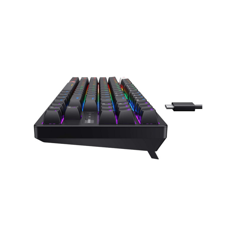 Gaming Keyboard Havit KB892L, Mechanical, Tacticle SW, 87 Keys, Fn keys, RGB, 1.8m, USB, EN, Black