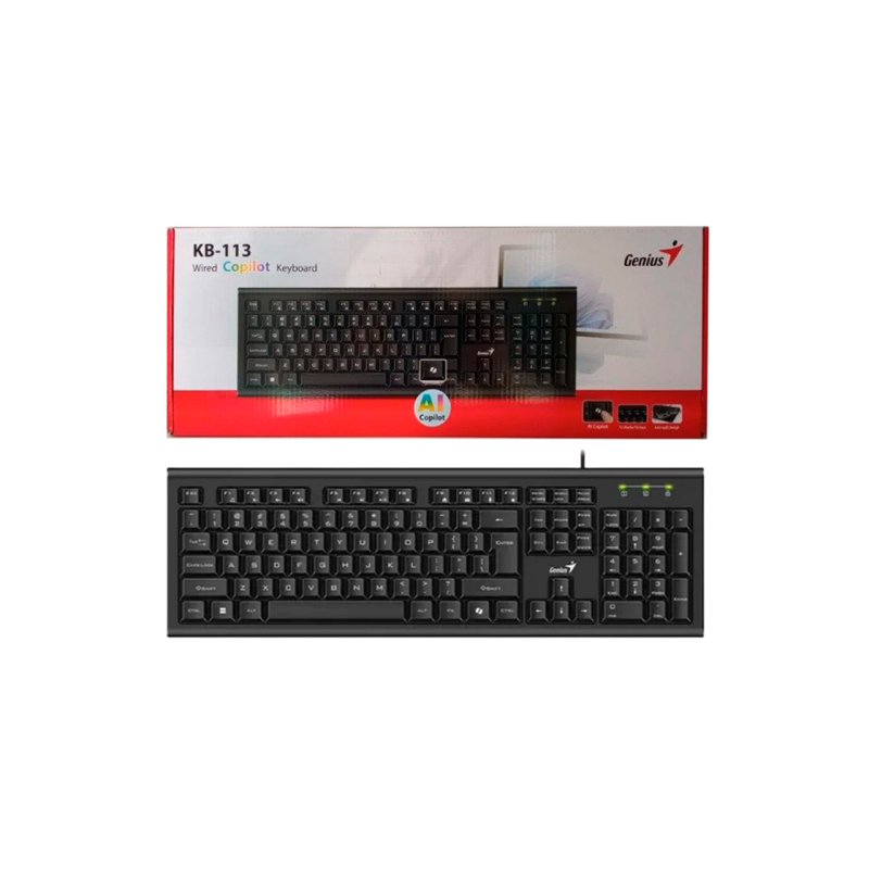 Keyboard Genius KB-113, Classic, 12 Fn keys, Concave Keycap, Spill Resistant, 1.5m, USB, EN/RU, Black