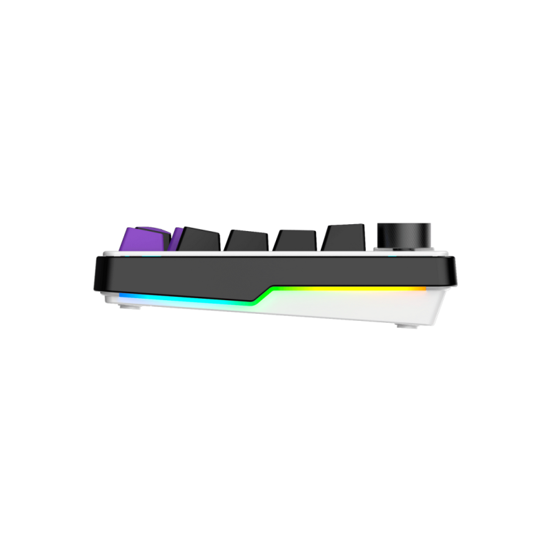 Gaming Keyboard HATOR Hellyberry HK75 White-Violet