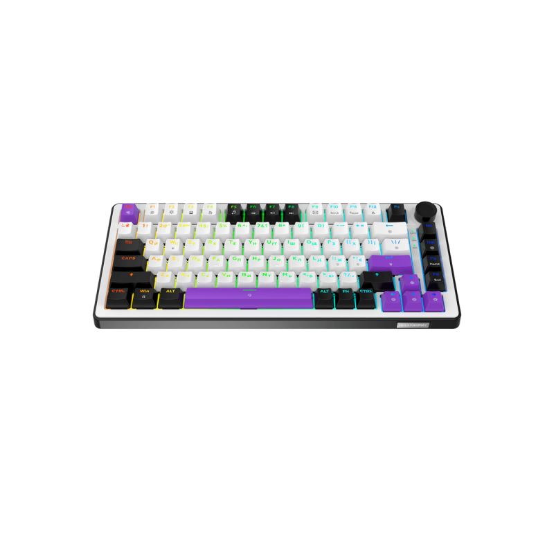 Gaming Keyboard HATOR Hellyberry HK75 White-Violet