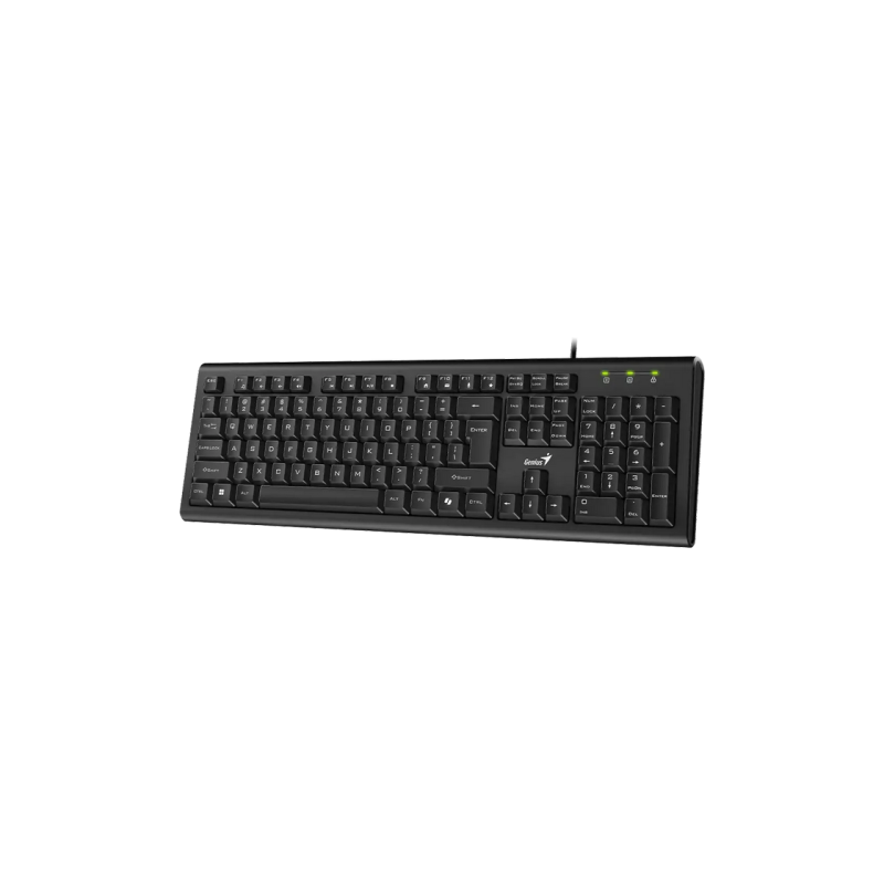 Keyboard Genius KB-113, Classic, 12 Fn keys, Concave Keycap, Spill Resistant, 1.5m, USB, EN/RU, Black