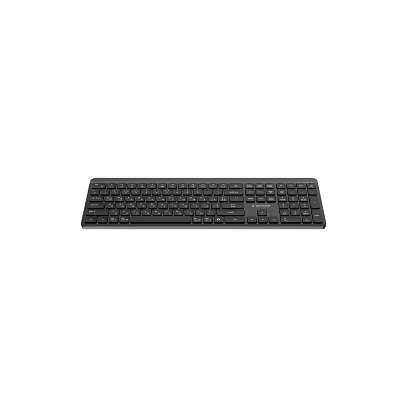 Keyboard Gembird KB-WPS-03-CYRL, EN/RU, Black