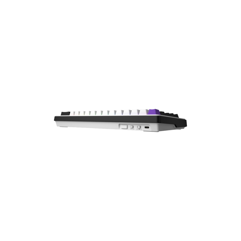 Gaming Keyboard HATOR Hellyberry HK60 Wireless White-Violet