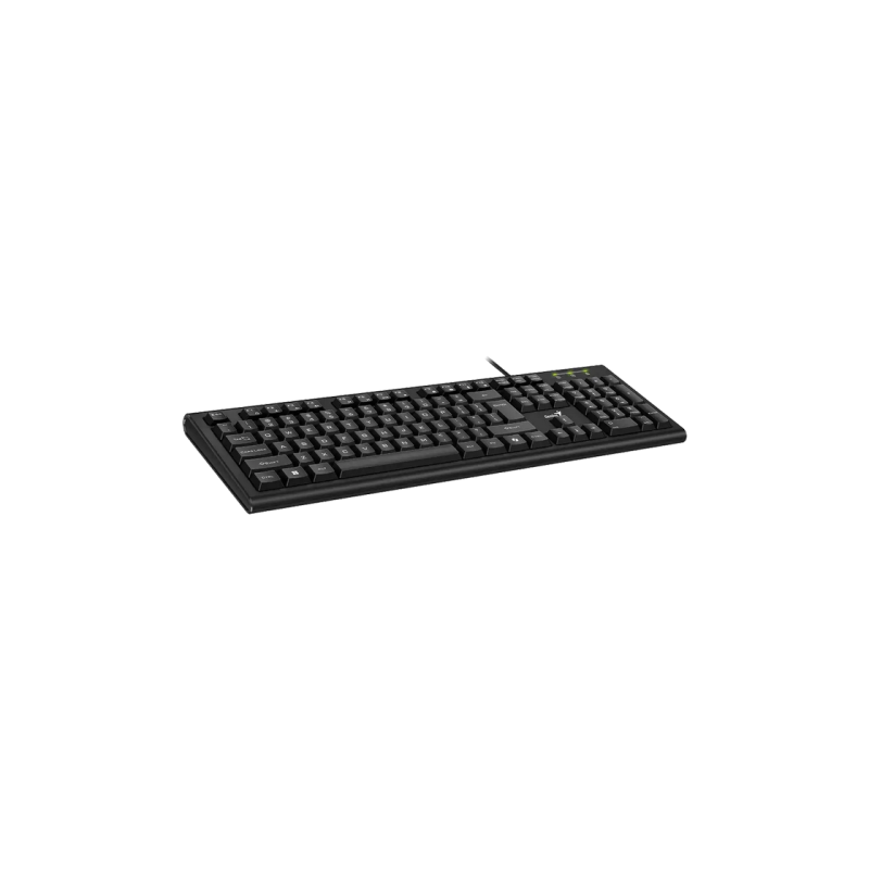 Keyboard Genius KB-113, Classic, 12 Fn keys, Concave Keycap, Spill Resistant, 1.5m, USB, EN/RU, Black