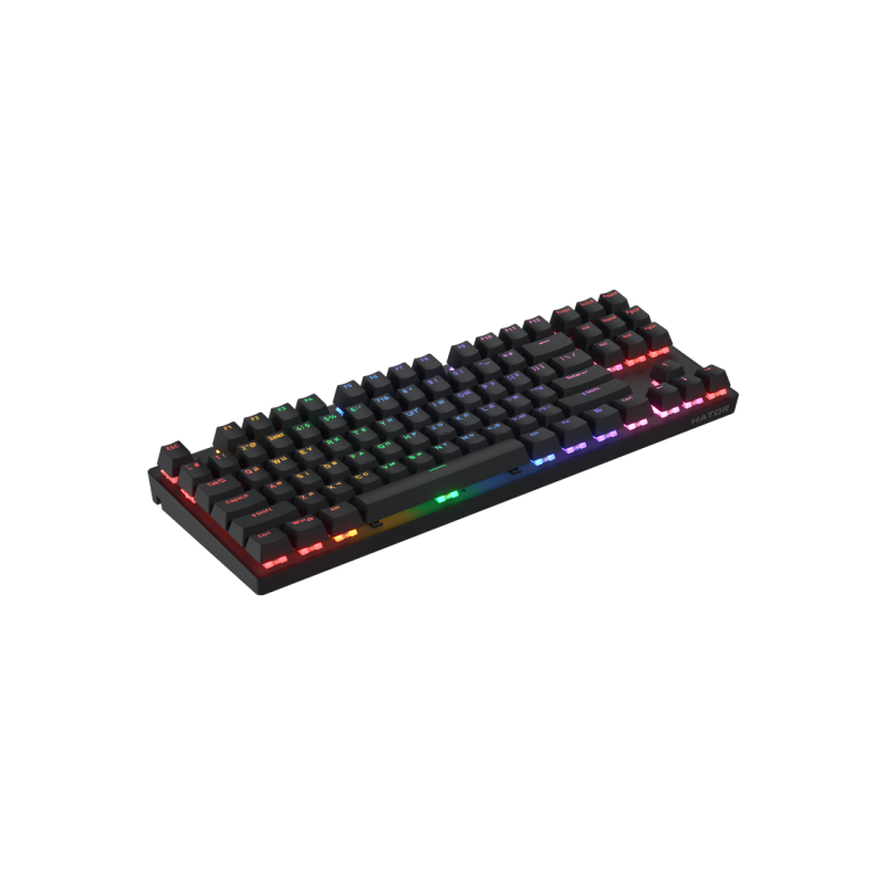 Wireless Gaming Keyboard HATOR Icefall Mecha TKL Rainbow, Mechanical, Rainbow LED, 1.8m, USB, EN/UA, Black