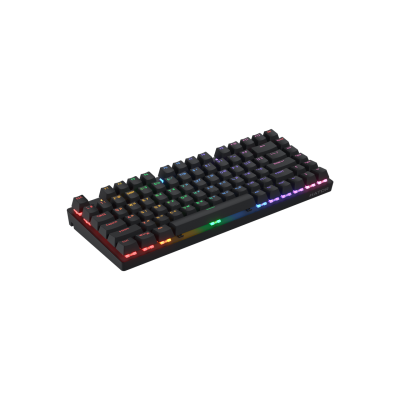 Keyboard HATOR Icefall Mecha TKL Rainbow, Black