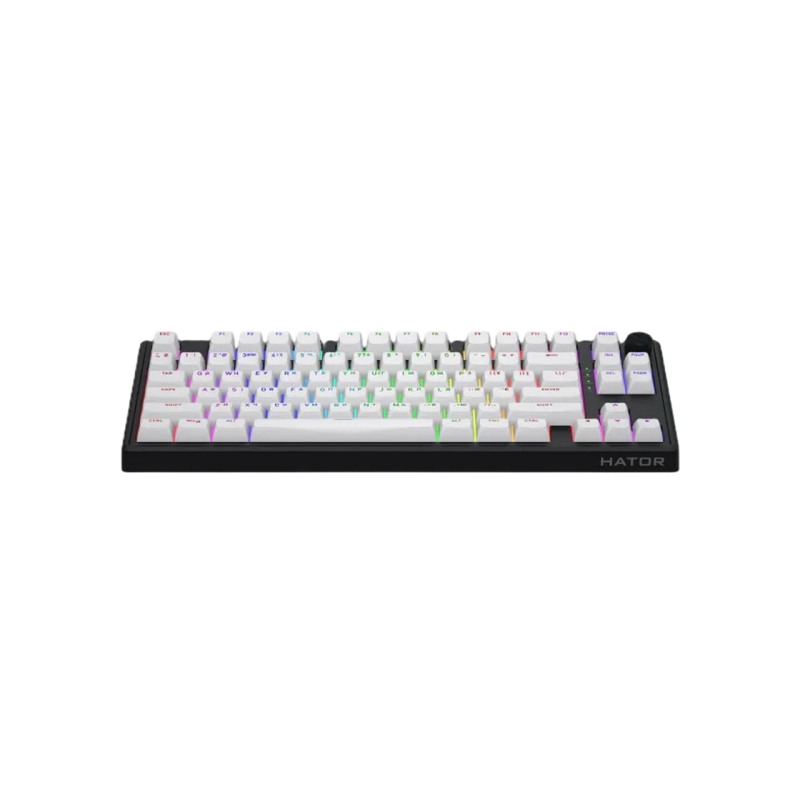 Gaming Keyboard HATOR Skyfall 80 wireless (HTK3180) white-black