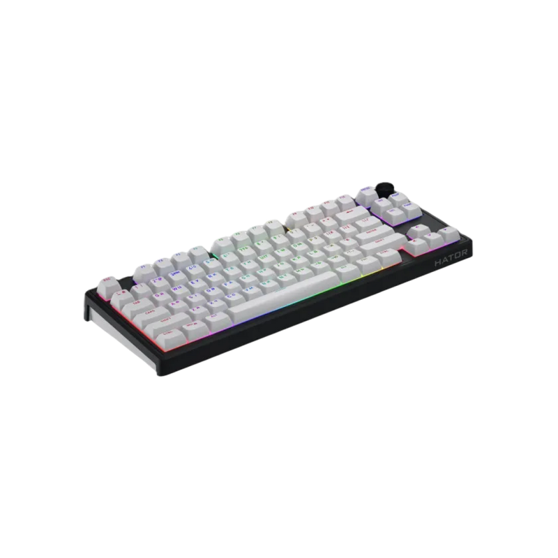 Gaming Keyboard HATOR Skyfall 80 wireless (HTK3180) white-black
