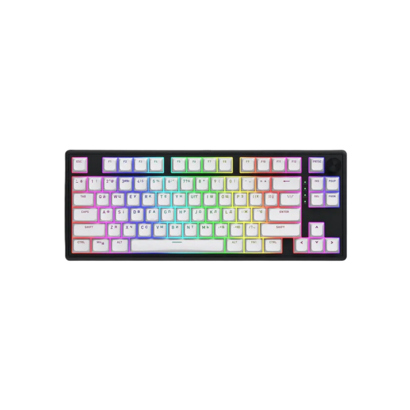 Gaming Keyboard HATOR Skyfall 80 wireless (HTK3180) white-black