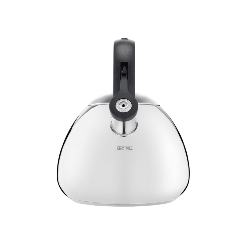 Kettle Tefal N4180310
