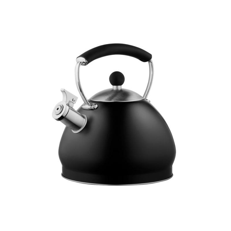 Чайник электрический ARDESTO AR0748KS Black
