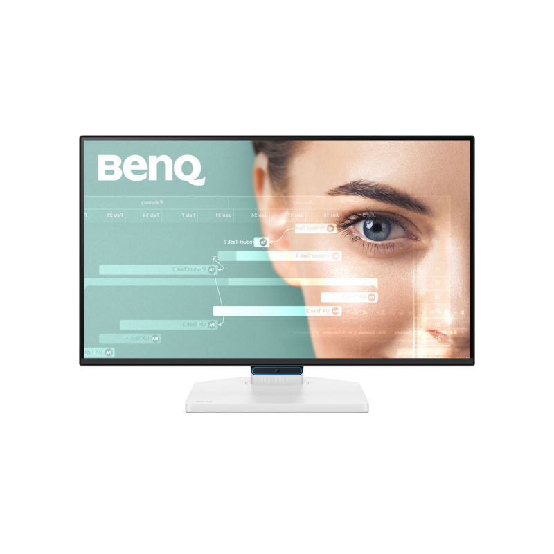 Monitor BenQ GW2490CT, White