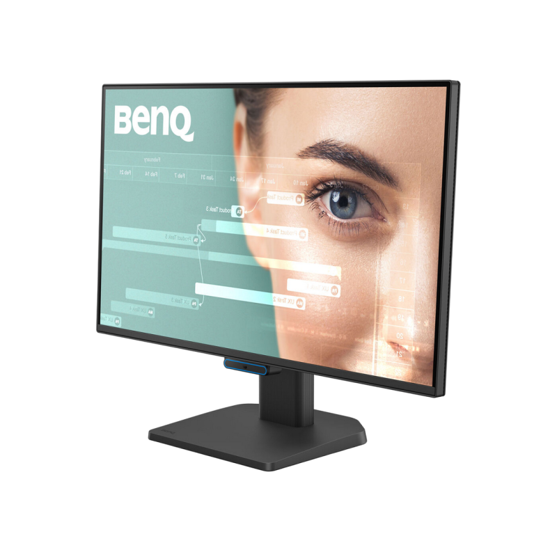 Monitor BenQ GW2490C, Black