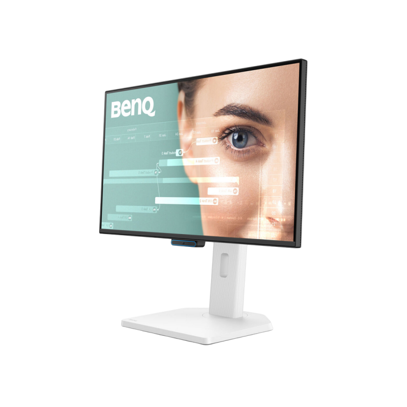 Monitor BenQ GW2490CT, White