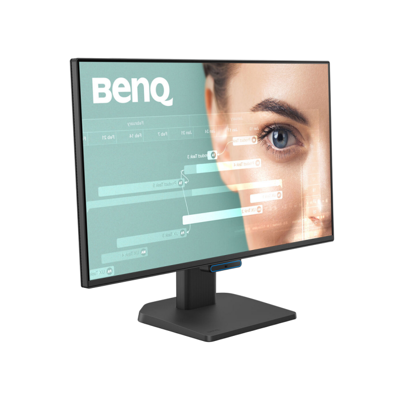 Monitor BenQ GW2490C, Black