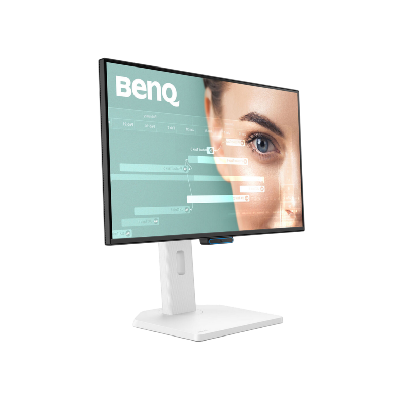 Monitor BenQ GW2490CT, White