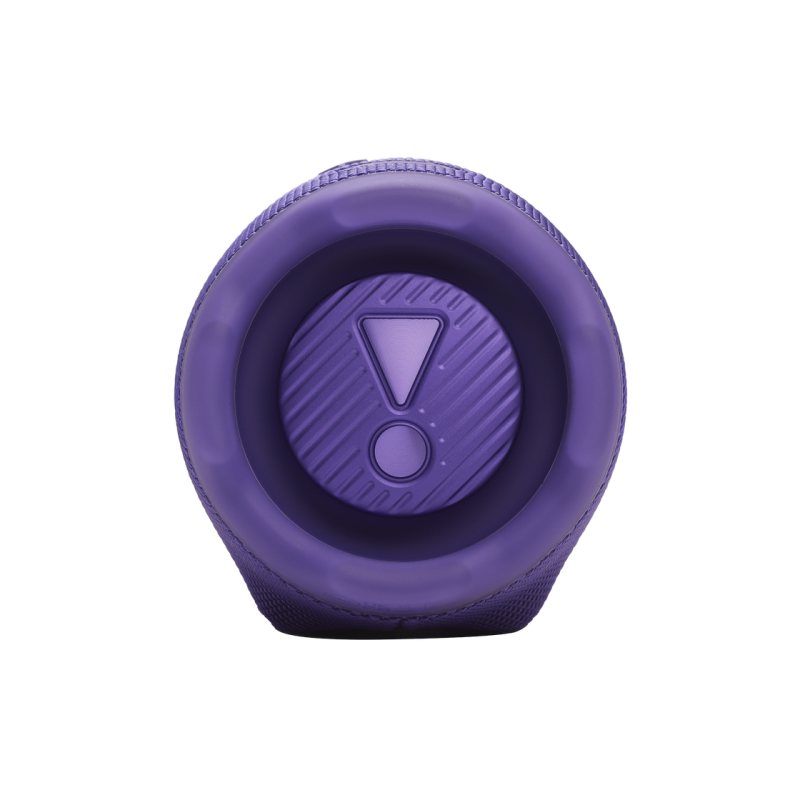 Портативная колонка JBL Charge 6, Purple