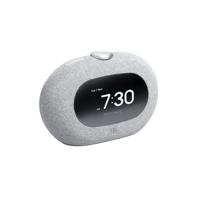 Portable Speakers JBL Horizon 3, Gray