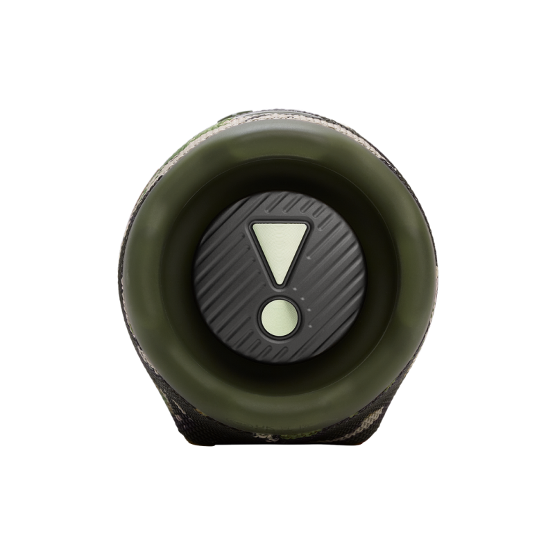 Портативная колонка JBL Charge 6, Squad