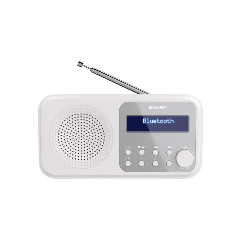 Портативная колонка Sharp DR-P420WHV01, Портативное цифровое радио