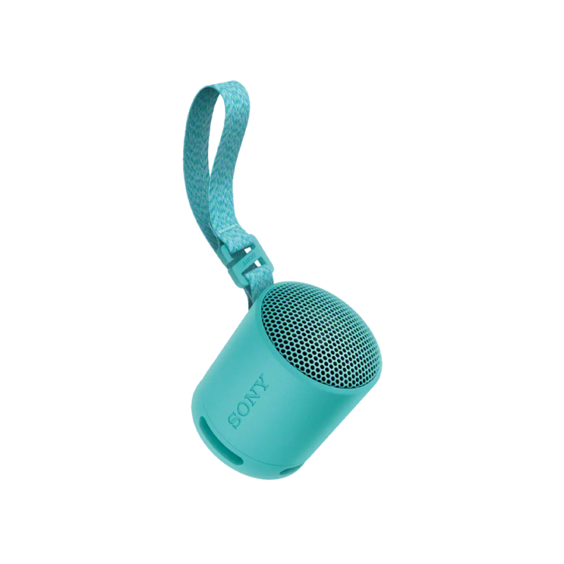 Портативная колонка Sony SRS-XB100L, Blue