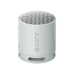 Портативная колонка Sony SRS-XB100H, Light Grey