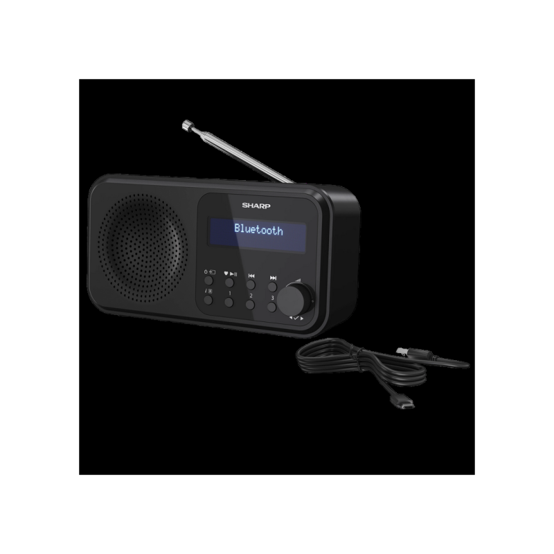 Портативная цифровая радиостанция Sharp DR-P420BKV01, черная