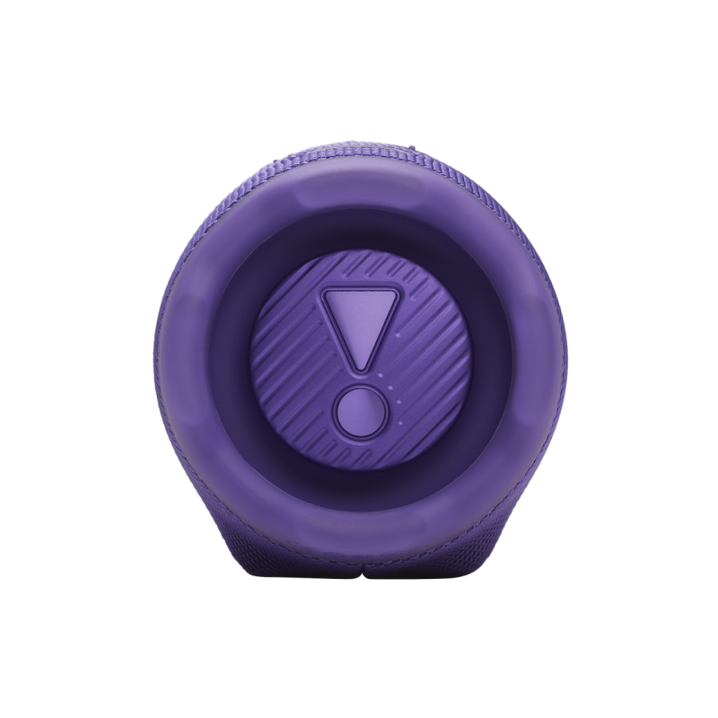 Портативная колонка JBL Charge 6, Purple