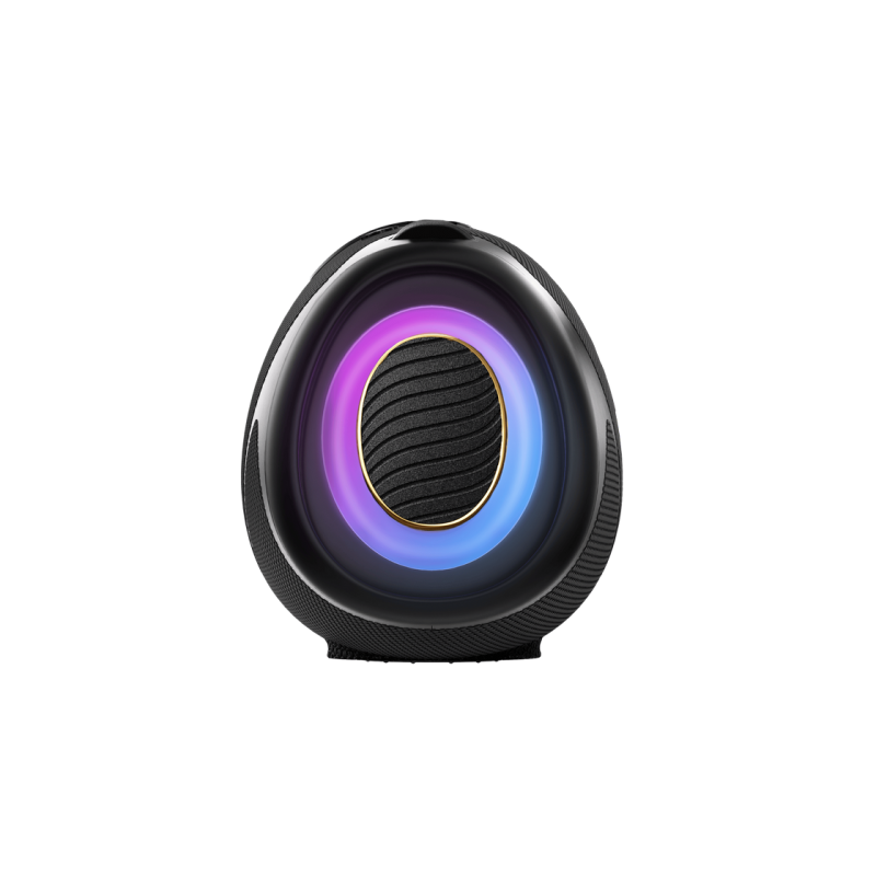 Portable Speakers WeBoom Hisense, Black