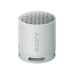 Портативная колонка Sony SRS-XB100H, Light Grey