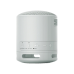 Портативная колонка Sony SRS-XB100H, Light Grey