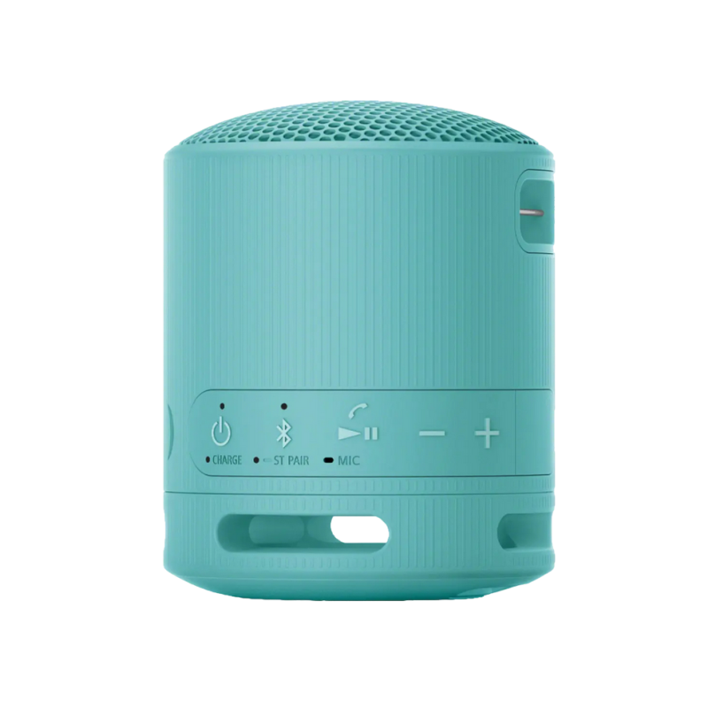 Портативная колонка Sony SRS-XB100L, Blue