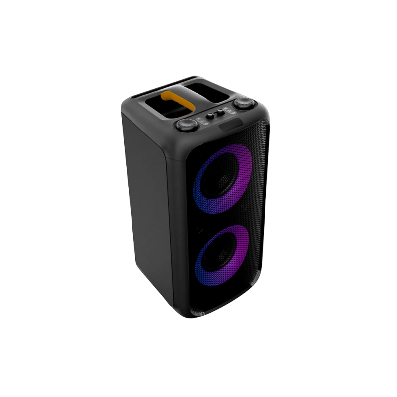 Портативная аудиосистема FD Audio PA200, черная