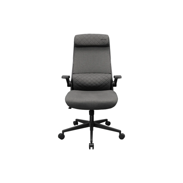 Scaun Chair Cougar Stryder, Gray