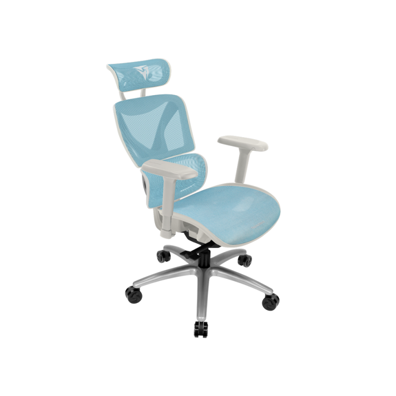 Кресло ThunderX3 XTC Chroma White Blue